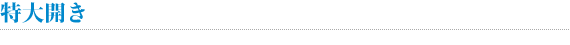 特大開き